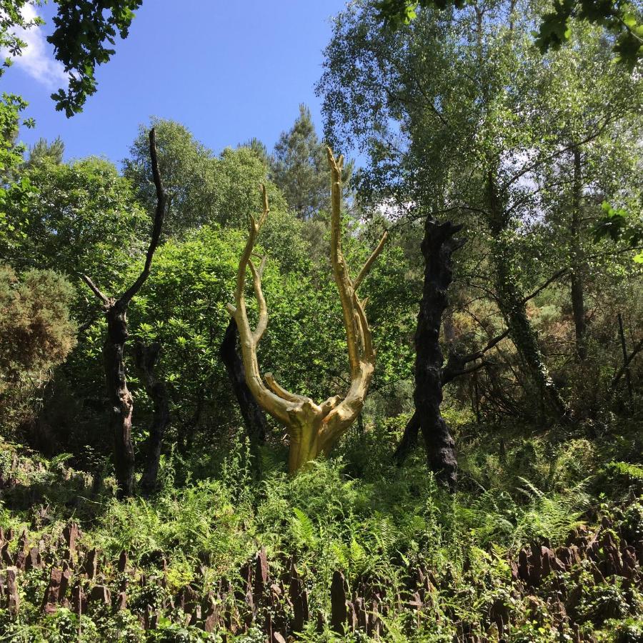 L'Hotie De Broceliande, Au Coeur Des Sites Naturels Et Legendaires パンポン エクステリア 写真