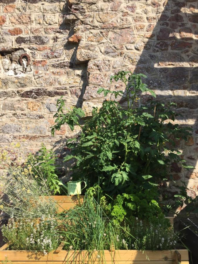L'Hotie De Broceliande, Au Coeur Des Sites Naturels Et Legendaires パンポン エクステリア 写真