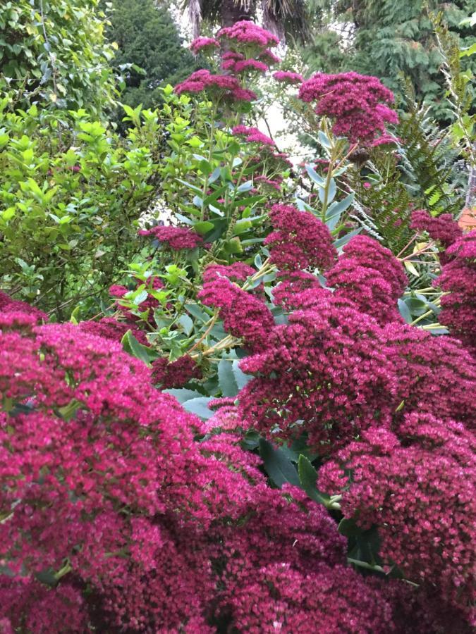 L'Hotie De Broceliande, Au Coeur Des Sites Naturels Et Legendaires パンポン エクステリア 写真