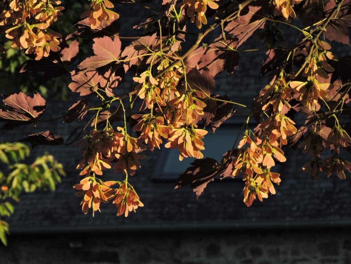 L'Hotie De Broceliande, Au Coeur Des Sites Naturels Et Legendaires パンポン エクステリア 写真
