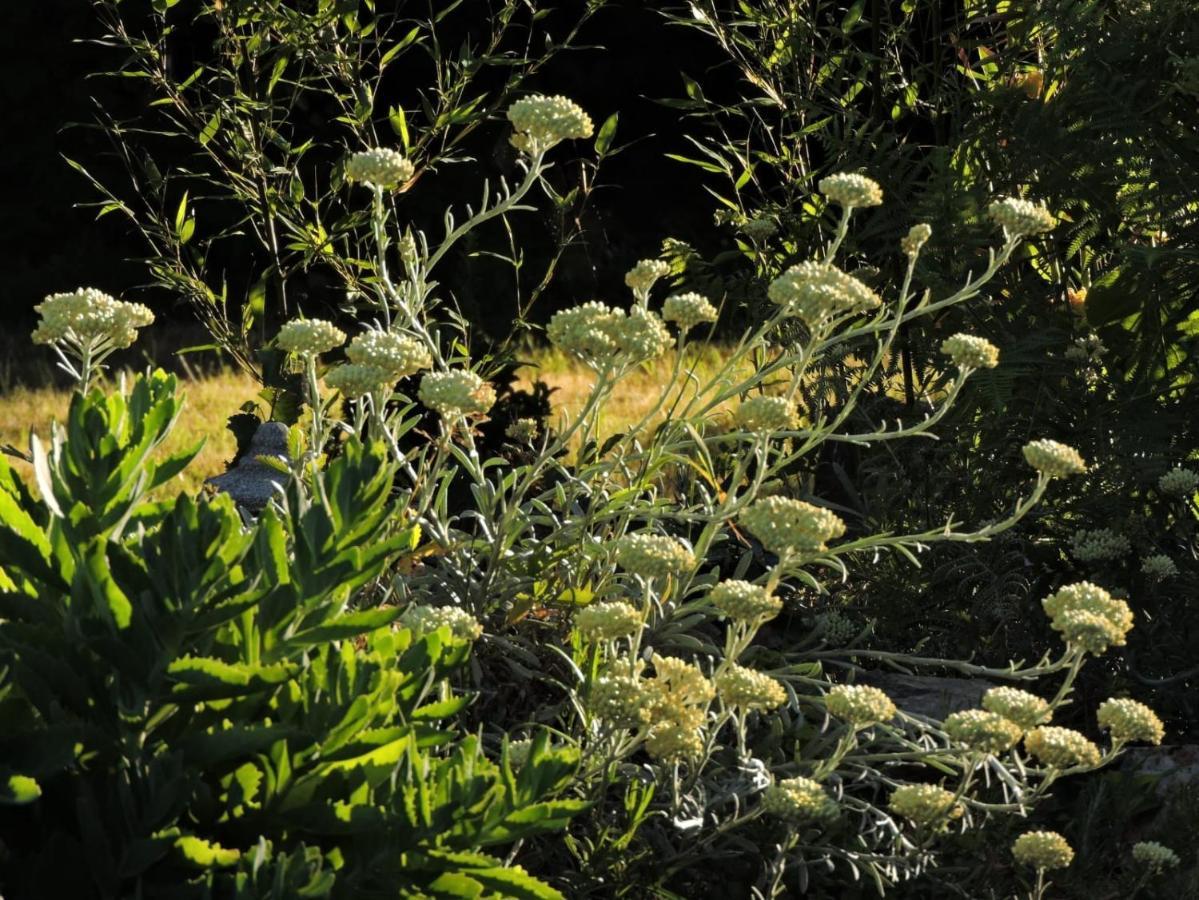L'Hotie De Broceliande, Au Coeur Des Sites Naturels Et Legendaires パンポン エクステリア 写真