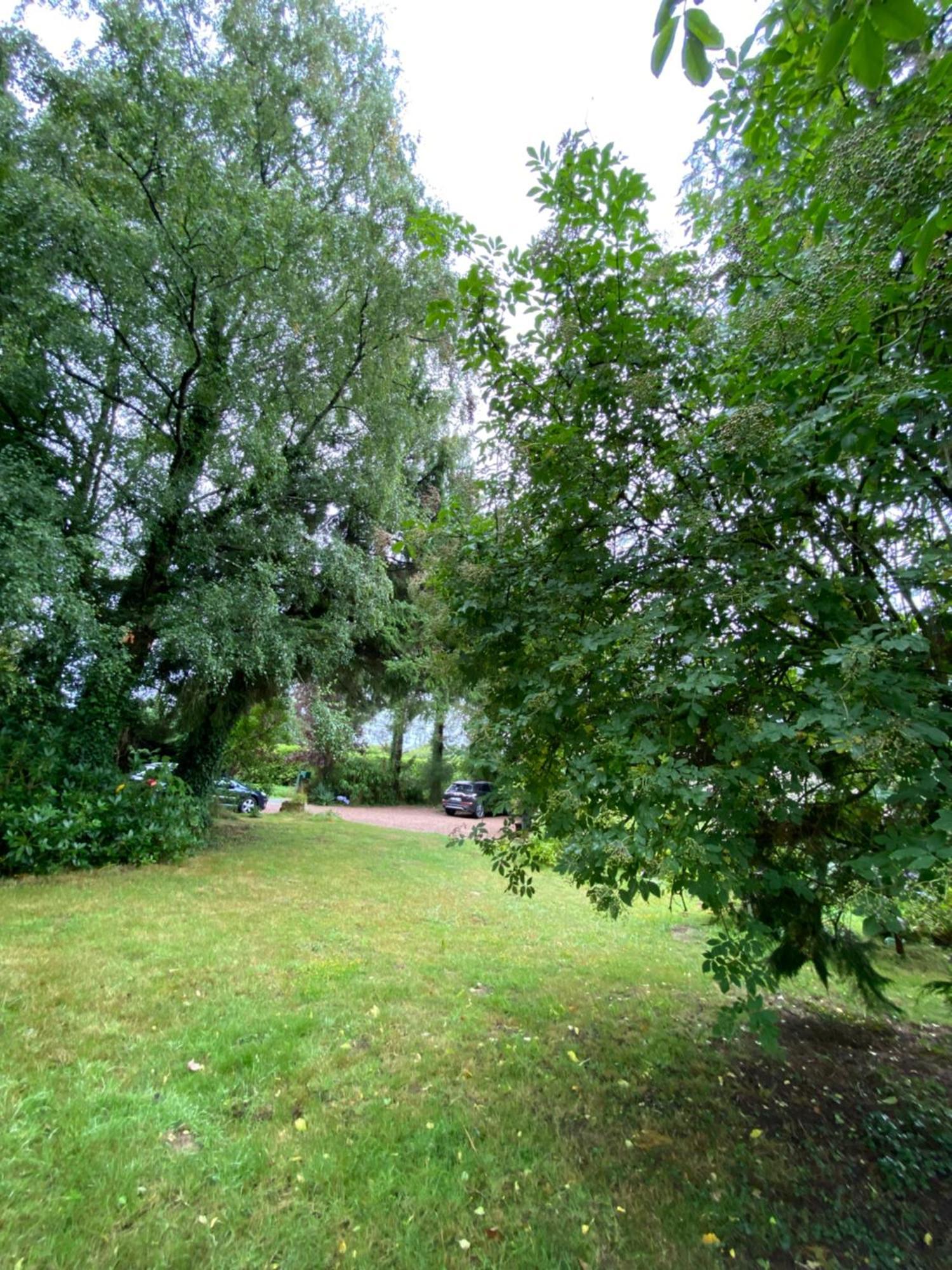 L'Hotie De Broceliande, Au Coeur Des Sites Naturels Et Legendaires パンポン エクステリア 写真