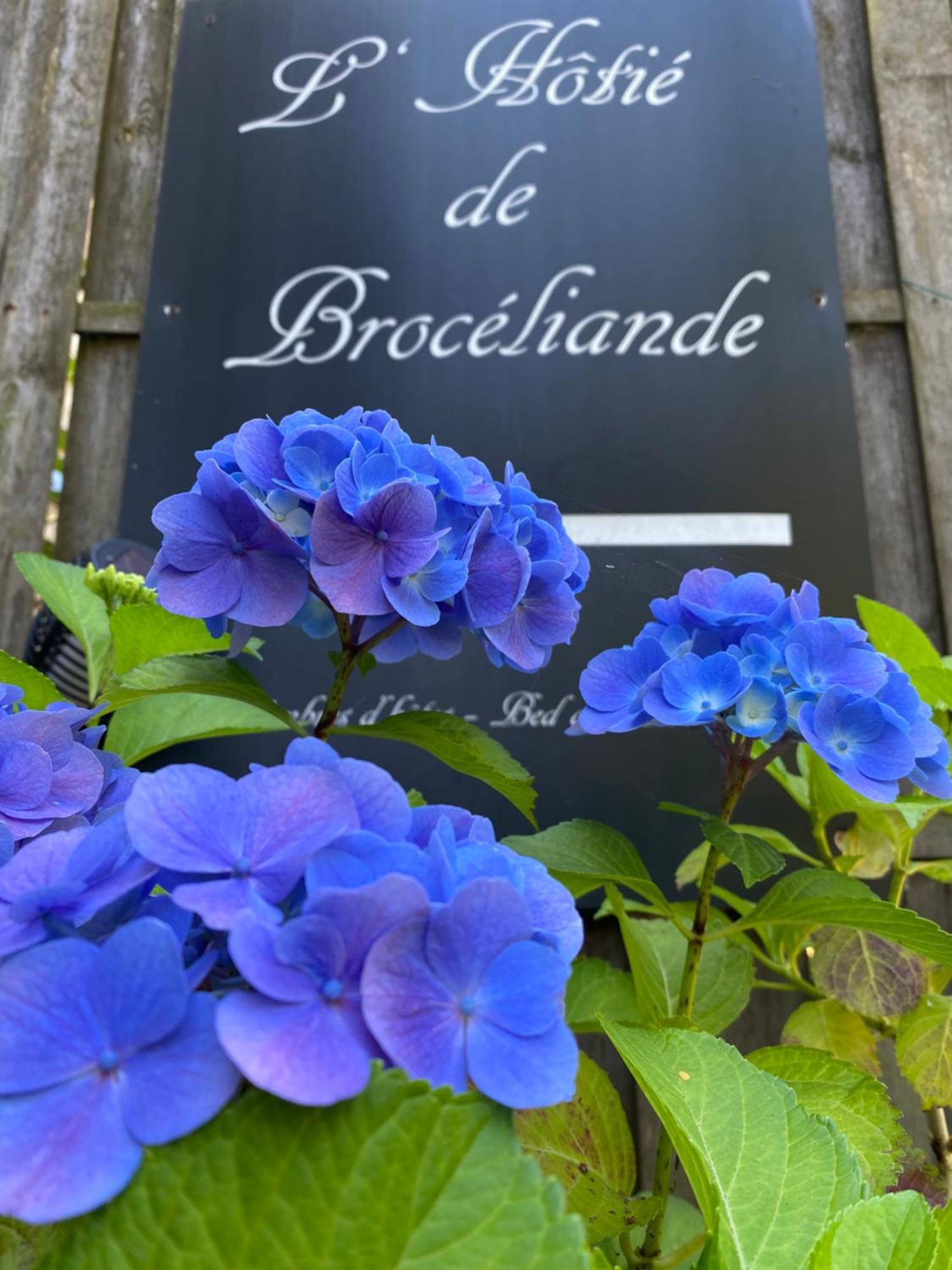 L'Hotie De Broceliande, Au Coeur Des Sites Naturels Et Legendaires パンポン エクステリア 写真