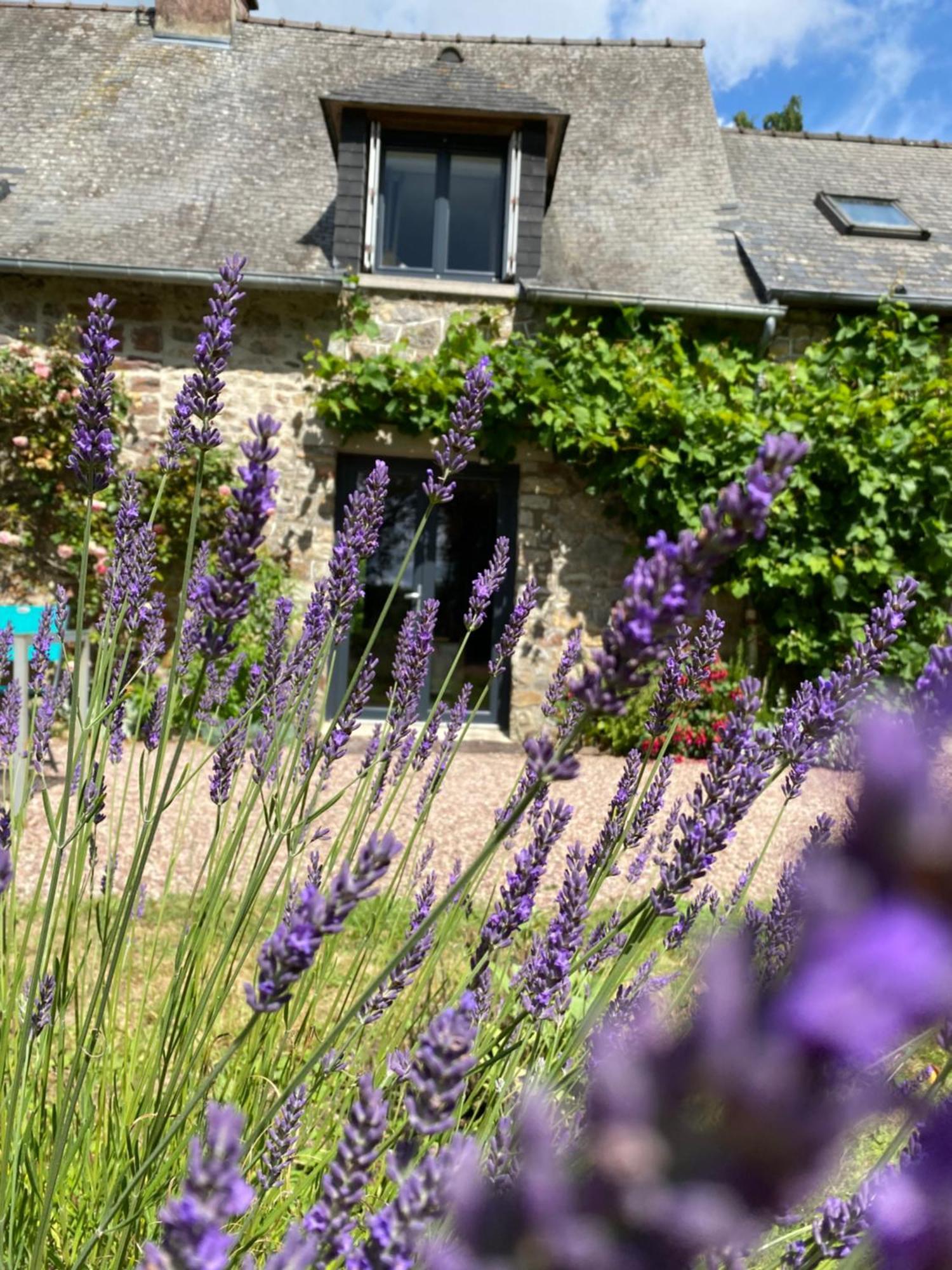 L'Hotie De Broceliande, Au Coeur Des Sites Naturels Et Legendaires パンポン エクステリア 写真