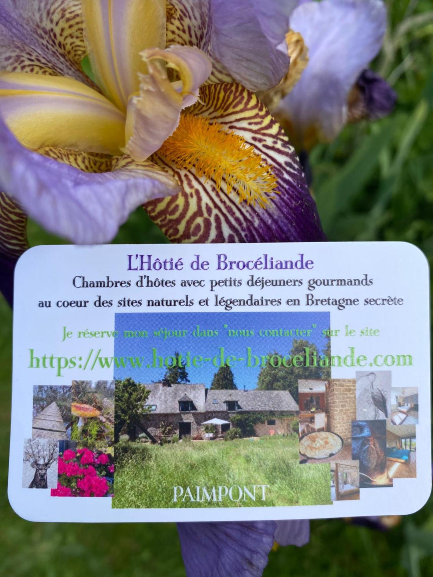 L'Hotie De Broceliande, Au Coeur Des Sites Naturels Et Legendaires パンポン エクステリア 写真
